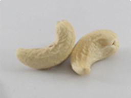 Cashews dw grade